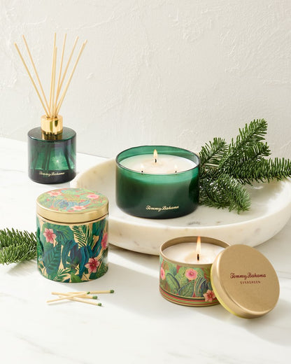 Evergreen Reed Diffuser Evergreen | Tommy Bahama Popular - Evergreen Reed Diffuser